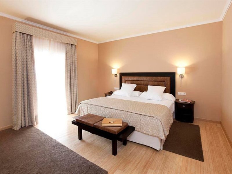 Hospes Palacio de Arenales 38