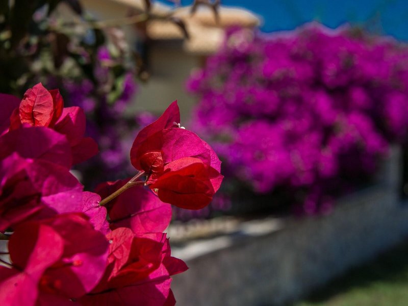 Keri Village & Spa by Zante Plaza - Erwachsenenhotel 6