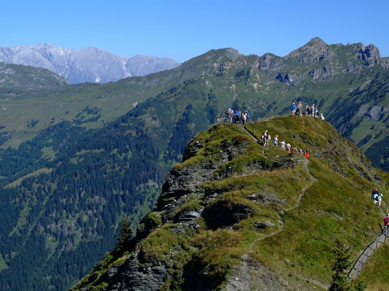 Haussteiner Land & Appartementhaus 11