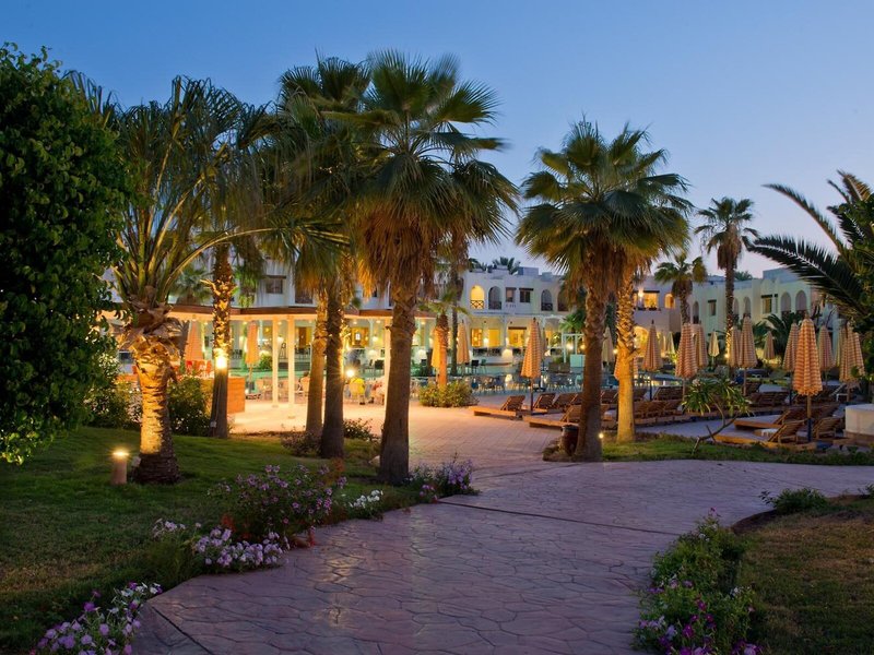 Shores Golden  3
