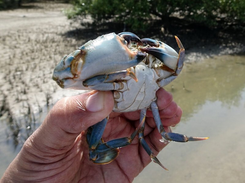 Amantra Lake View Resort 20