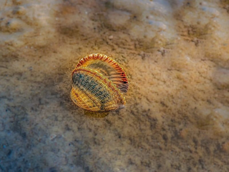 Amantra Lake View Resort 21