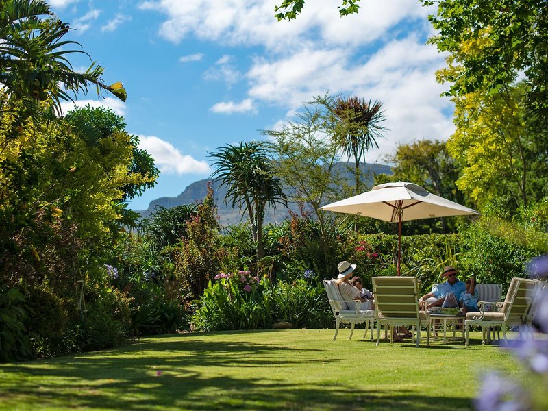The Last World Constantia 8