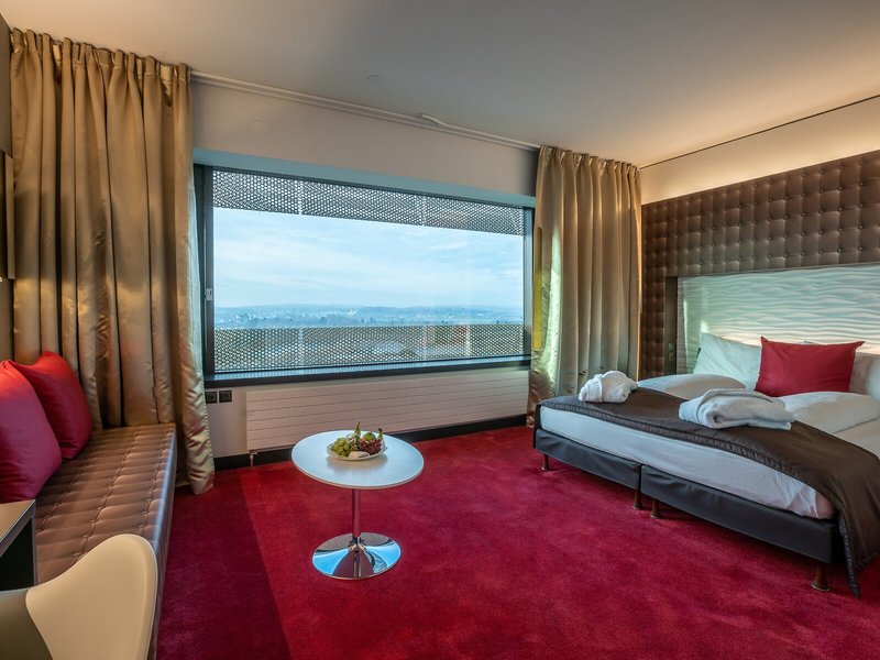 Airport Hotel Basel 18
