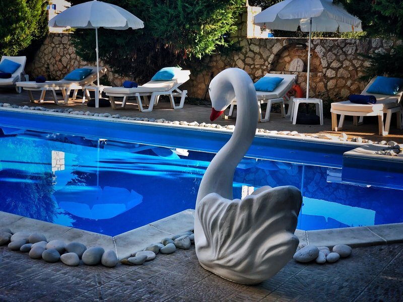 Apollon Palace Hotel Kefalonia 3