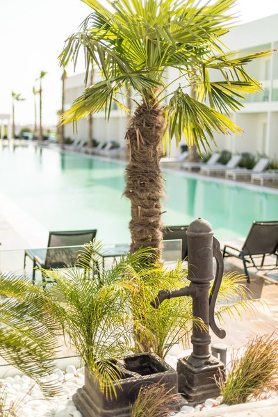 White Dreams Resort 18 - Indoor Pool