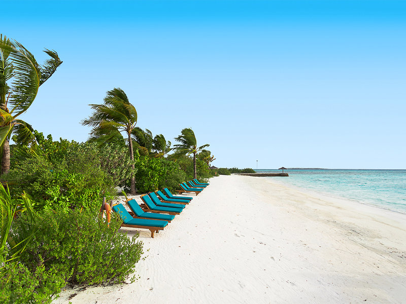 Canareef Resort Maldives 11