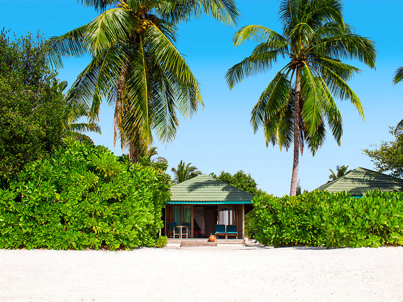 Canareef Resort Maldives 12