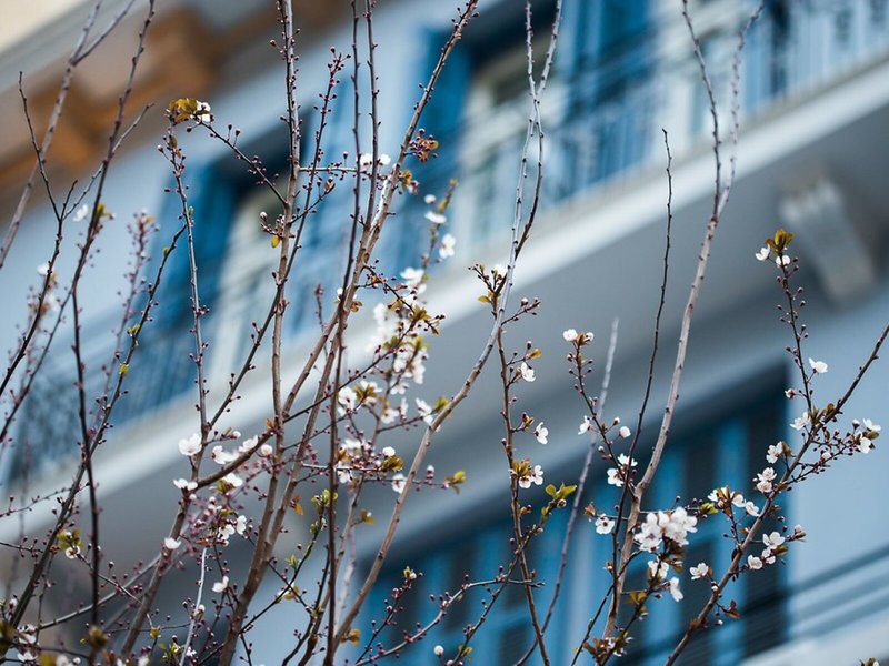 Bahar Boutique Hotel 3