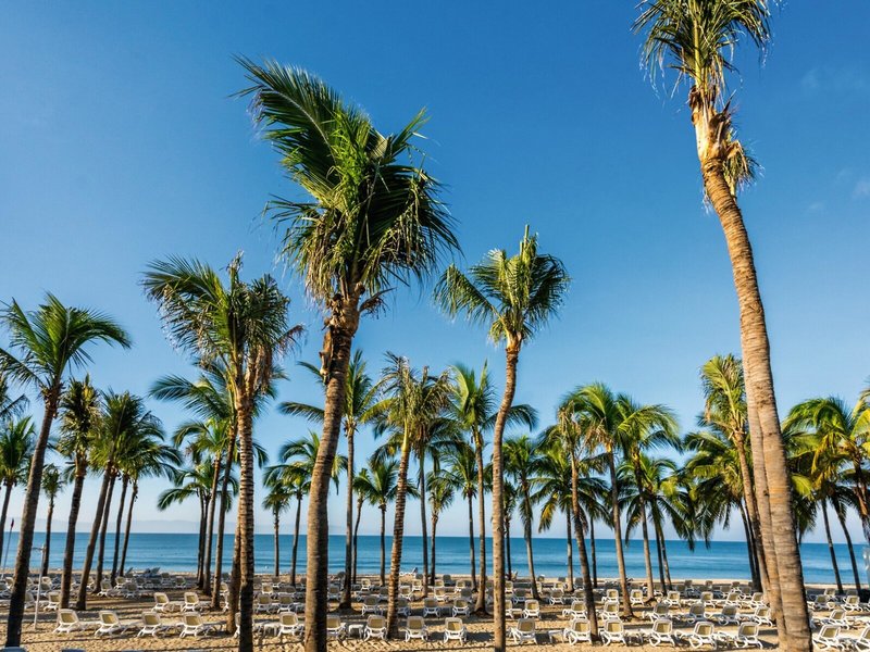 Riu Vallarta 3
