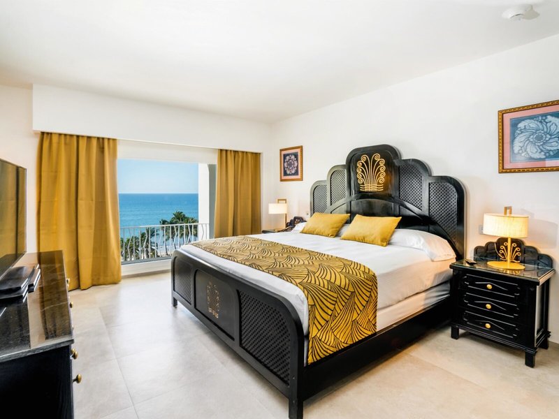 Riu Vallarta 29