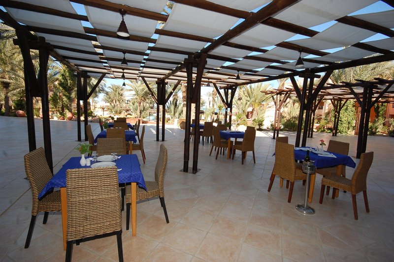 Vincci Safira Palms 13