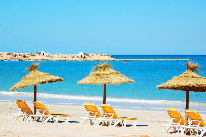 Vincci Safira Palms 9