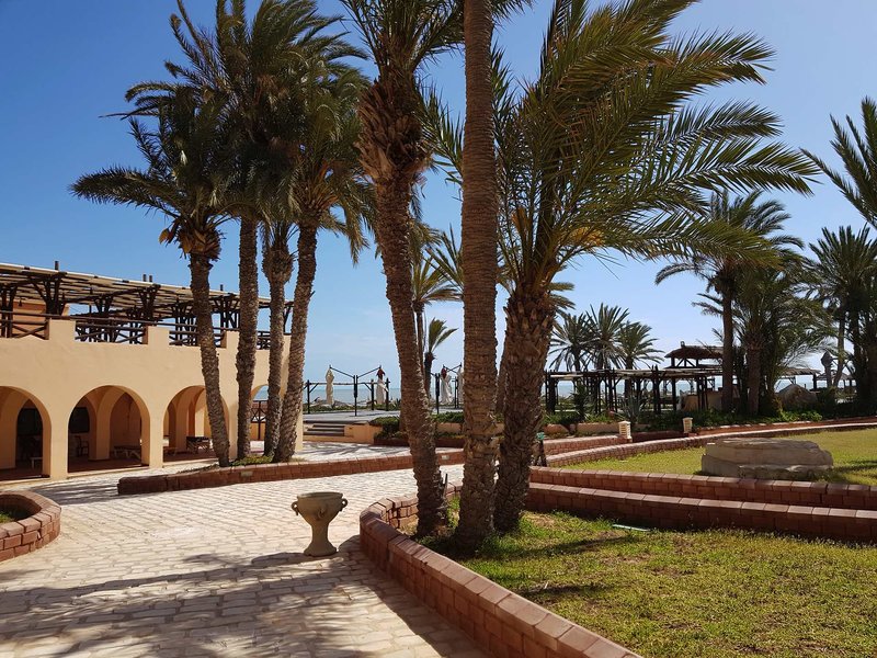 Vincci Safira Palms 3