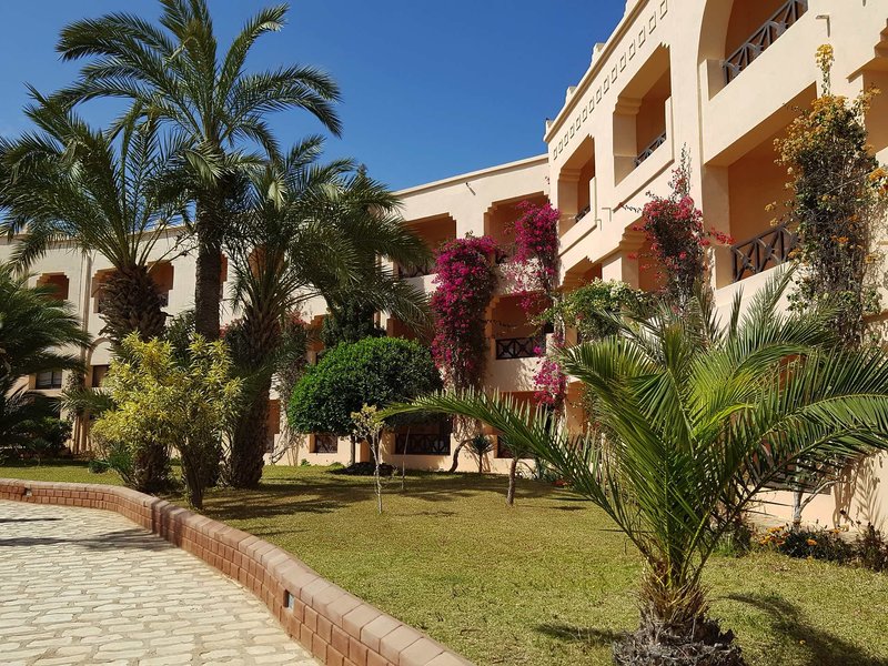 Vincci Safira Palms 4