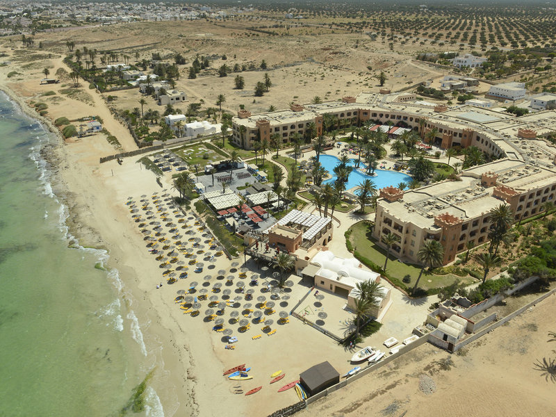 Vincci Safira Palms 3