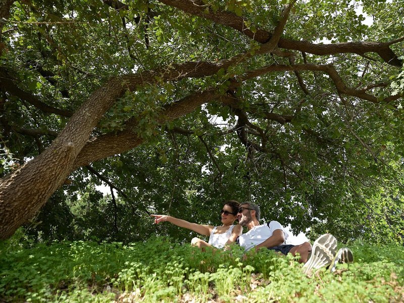 Pilot Beach Resort 6