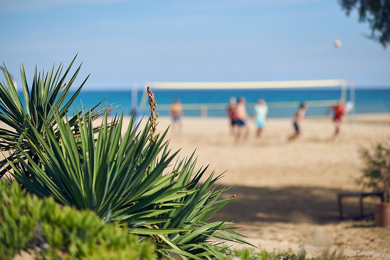 Pilot Beach Resort 19