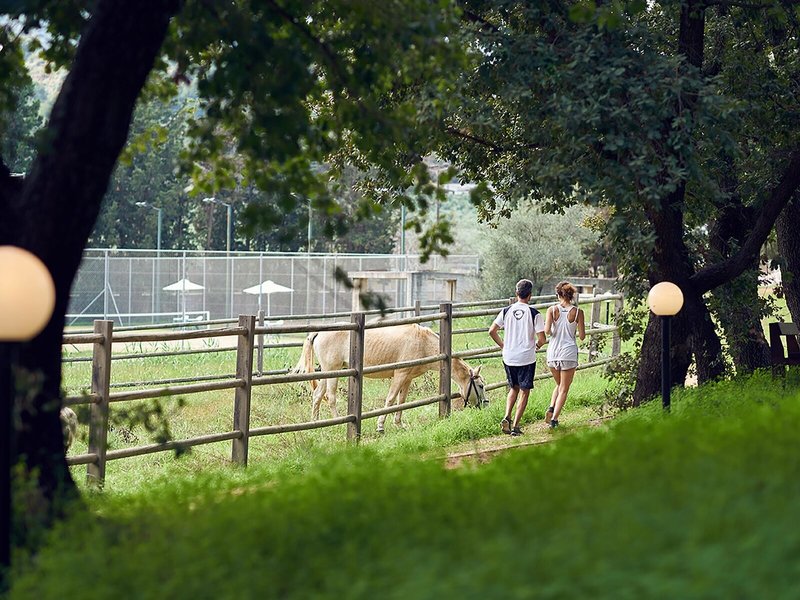 Pilot Beach Resort 4