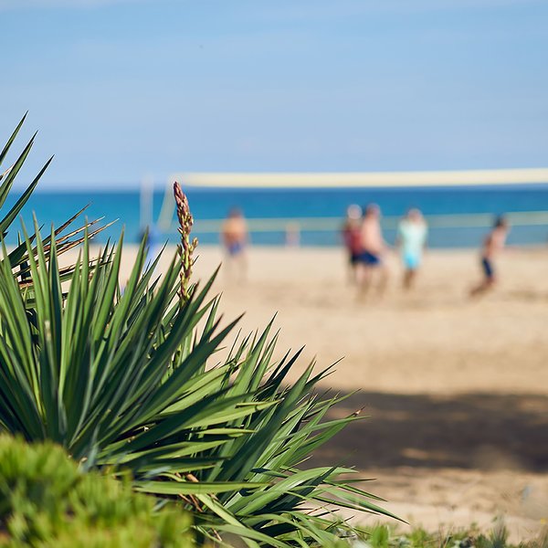 Pilot Beach Resort 74