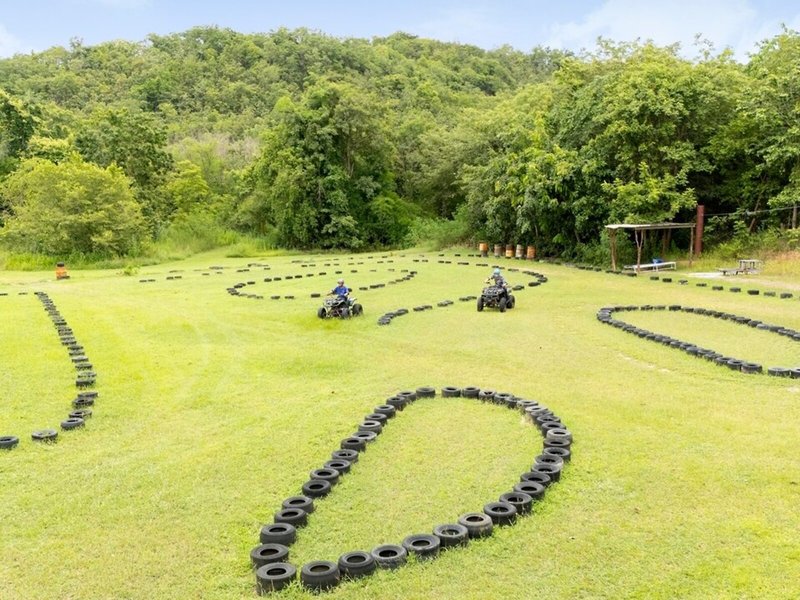 Springfield Village Golf 5