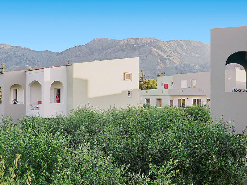 Vardis Olive Garden 5