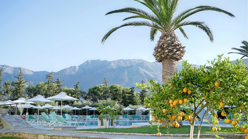 Vardis Olive Garden 11