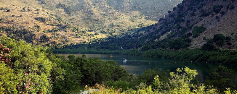 Vardis Olive Garden 18