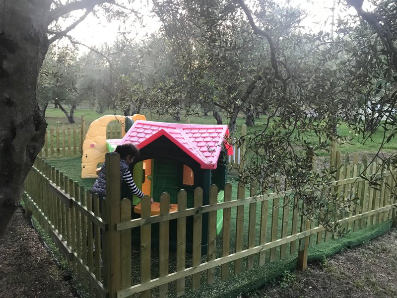 Vardis Olive Garden 36