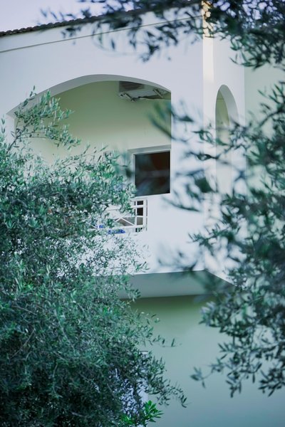 Vardis Olive Garden 46