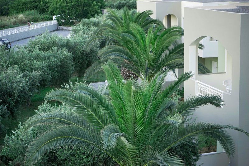 Vardis Olive Garden 48