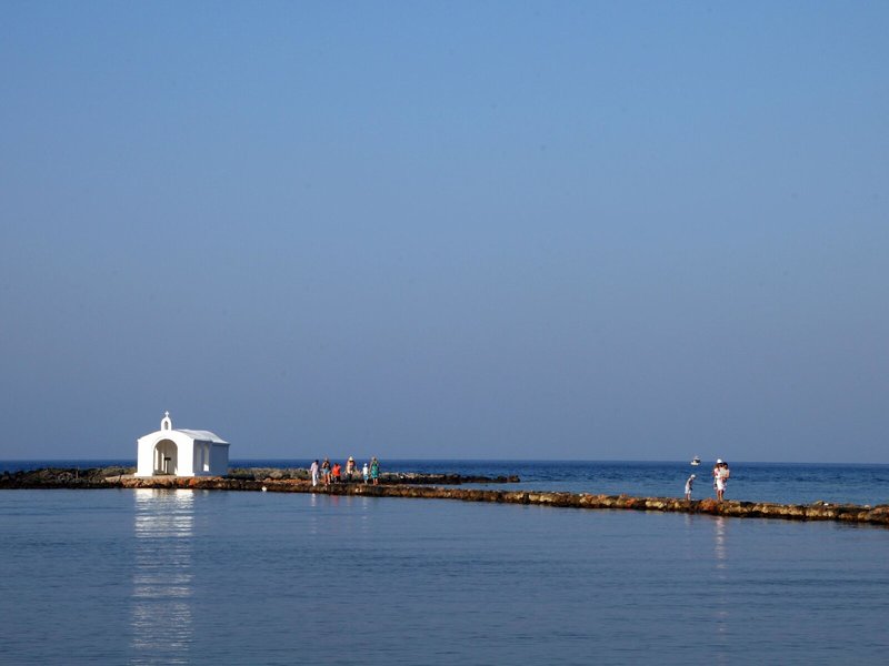 Vardis Olive Garden 5