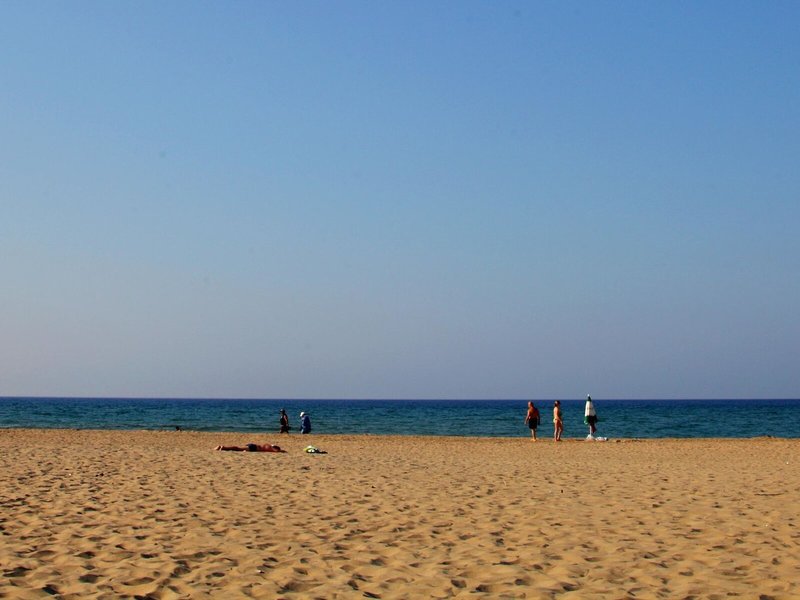 Vardis Olive Garden 9