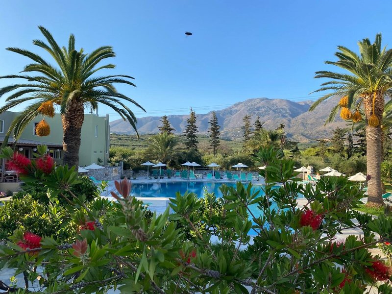 Vardis Olive Garden 13