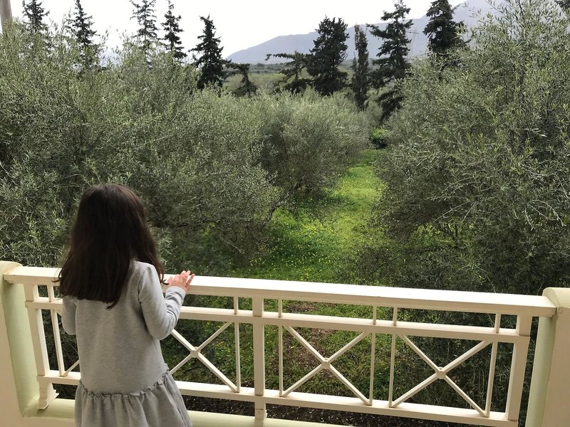 Vardis Olive Garden 22