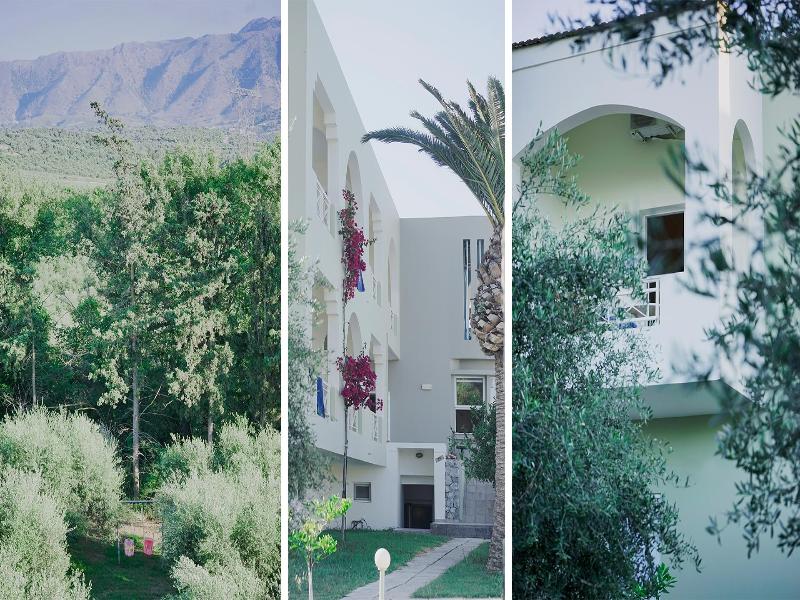 Vardis Olive Garden 1