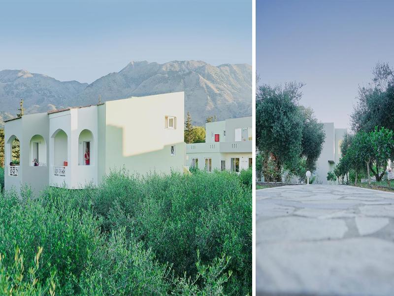 Vardis Olive Garden 2