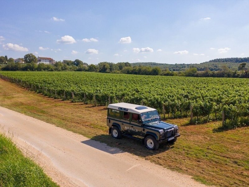 Roxanich Wine & Heritage 7 - Landscape