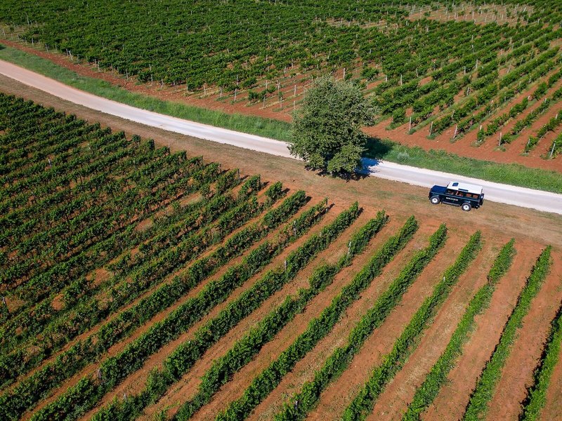 Roxanich Wine & Heritage 10 - Landscape