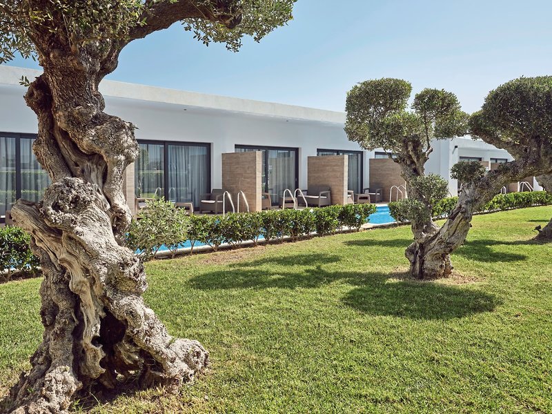 Cavo Orient Beach Hotel & Suites 22 - Garden