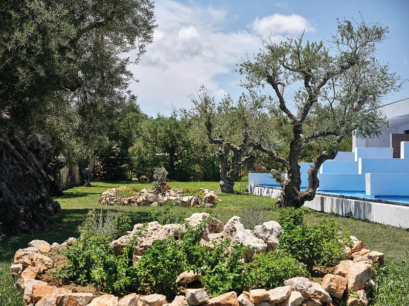 Cavo Orient Beach Hotel 13