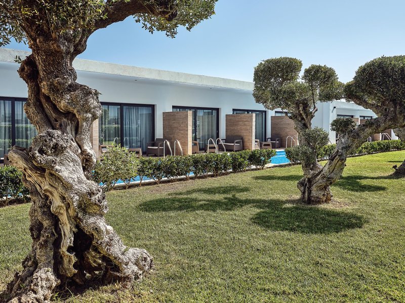 Cavo Orient Beach Hotel 23