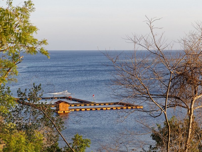 Menjangan Ecolodge 7