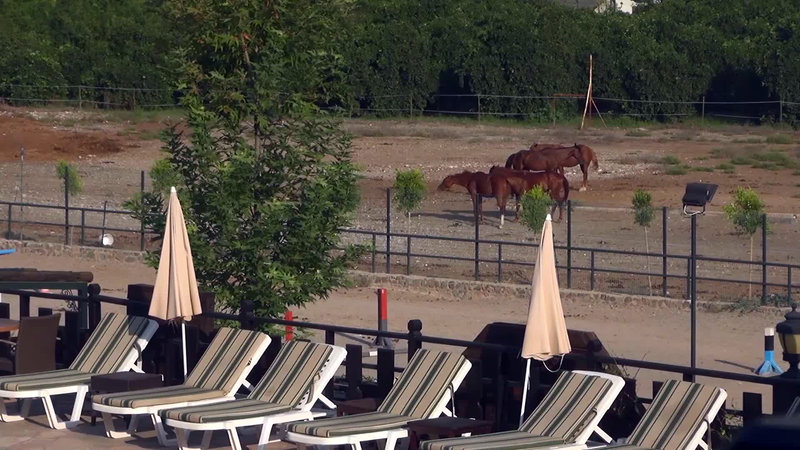 Hotel Berke Ranch & Nature 15