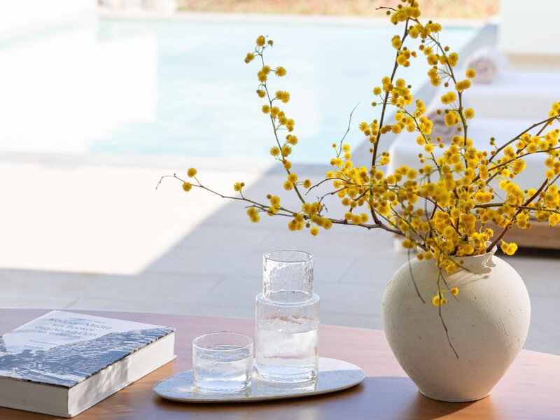 Amirandes a Grecotel Resort to Live 54