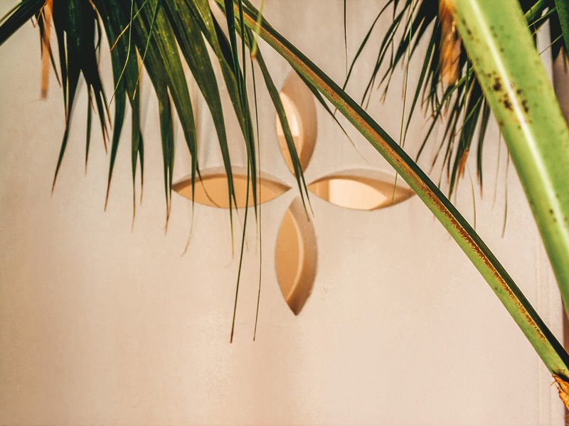 Yartan Boutique Hotel 3