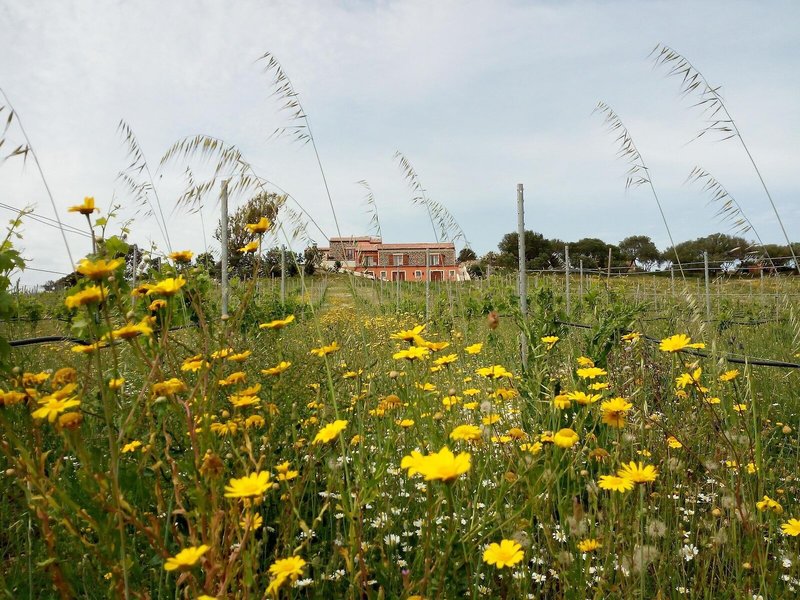 Tenuta Petra Bianca 1