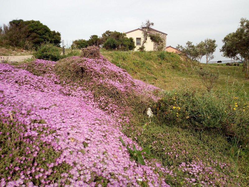 Tenuta Petra Bianca 4