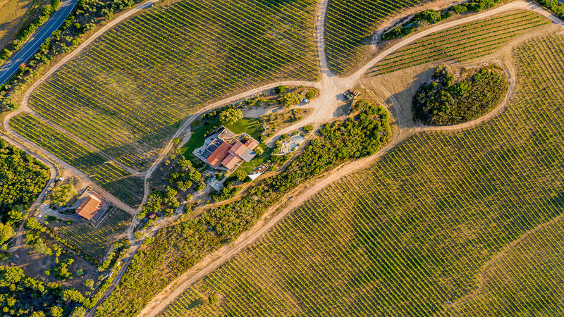 Tenuta Petra Bianca 1