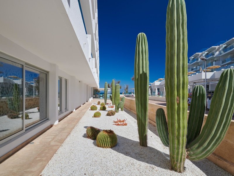 The Sea by Grupotel - Erwachsenenhotel 24